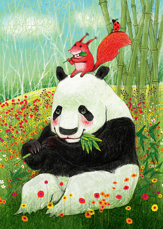 吃竹子的熊猫和松鼠图片素材