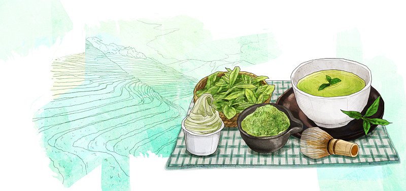 韩国食品说明图片素材