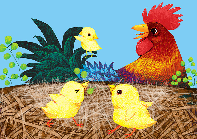 动物插画系列作品共3000幅-公鸡和小鸡下载