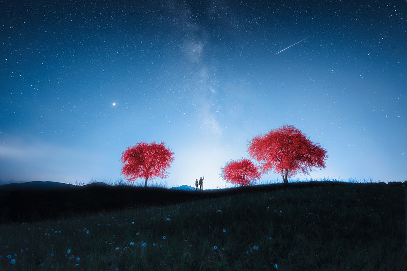 草原上星空和红树下携手一起看流星的情侣背影图片下载