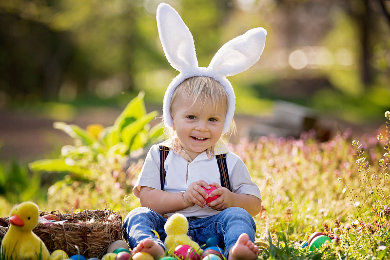 可爱的小男孩，带着兔子耳朵，为复活节寻找彩蛋，孩子图片下载