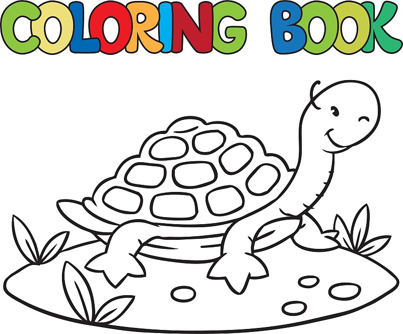 有趣的小乌龟的涂色书图片