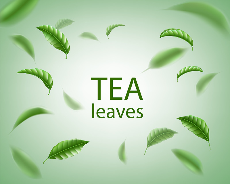 绿茶背景逼真的茶叶旋转图片素材