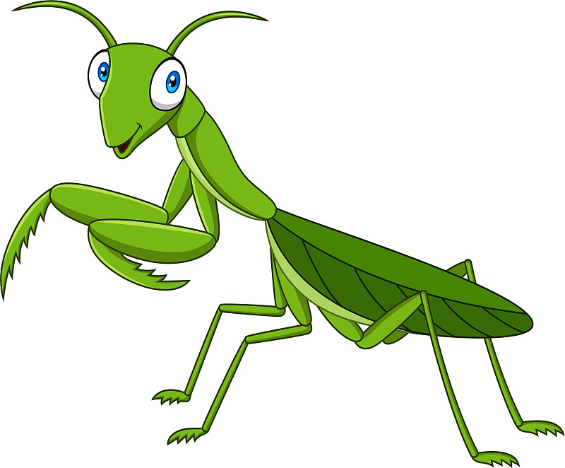 卡通绿色的螳螂图片