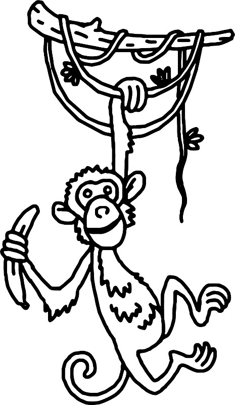 挂在树上的猴子简笔画图片