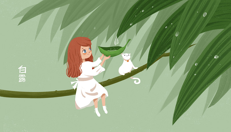 二十四节气白露插画 拿着叶子接露水的精灵女孩图片