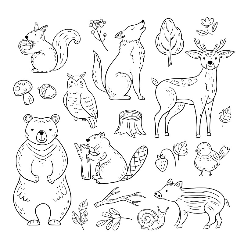 森林里的小动物手绘图片
