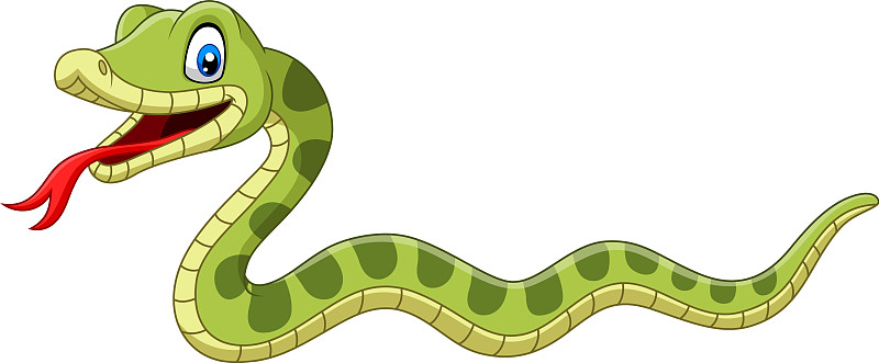 可爱的绿色蛇卡通在白色的背景图片