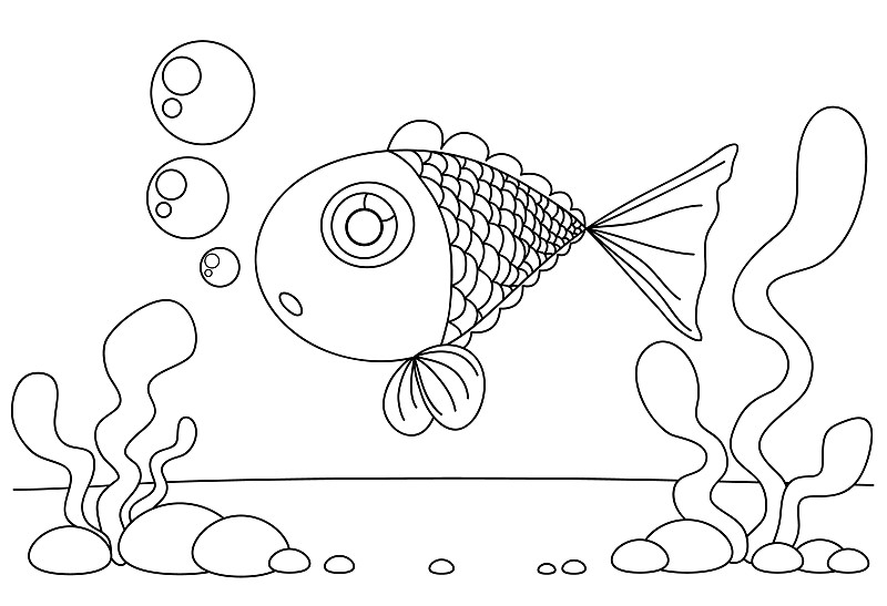 用线画鱼和海草给孩子们画画图片