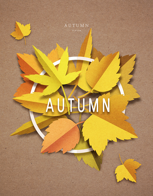 纸，纸艺术，秋天，落叶图片下载
