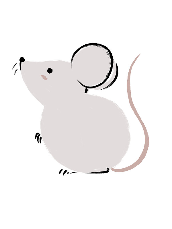 可爱的小老鼠 手绘图片
