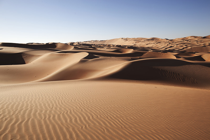 阿联酋里瓦绿洲的沙漠沙丘图片下载