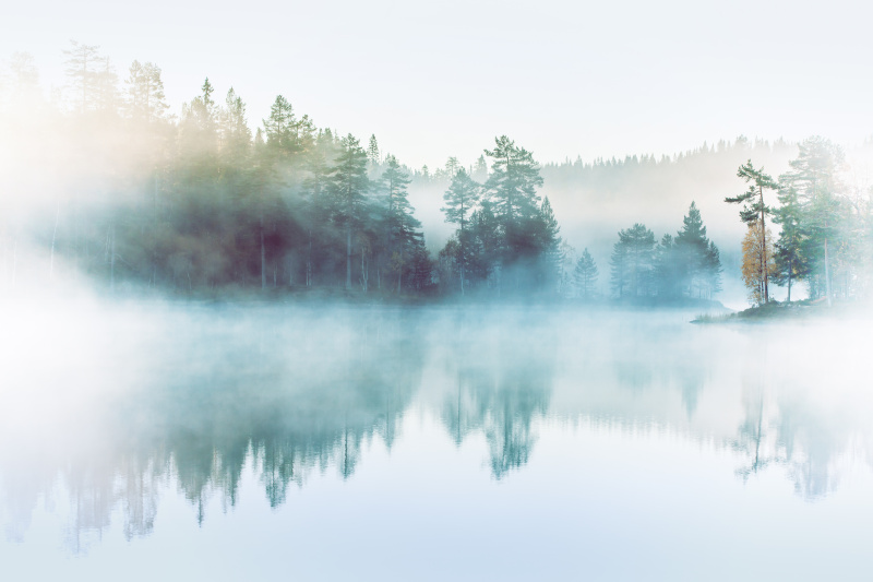 森林，湖泊和晨雾图片素材