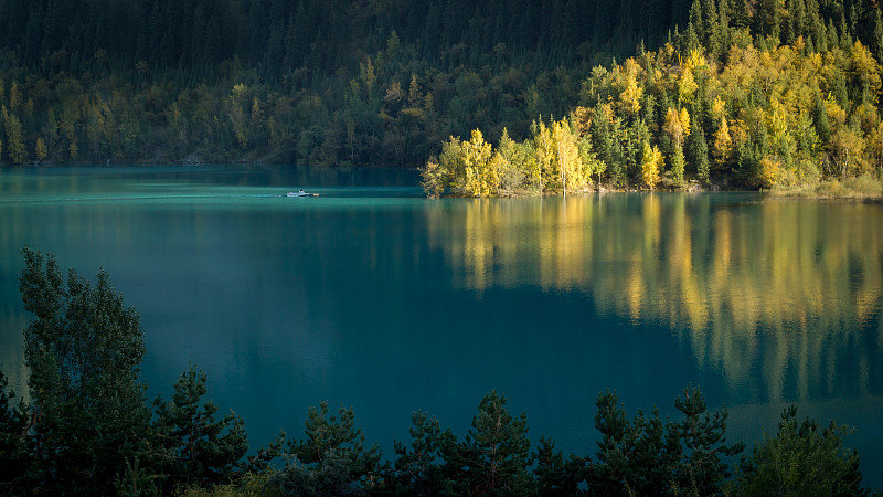 湖的风景由树木在森林图片素材