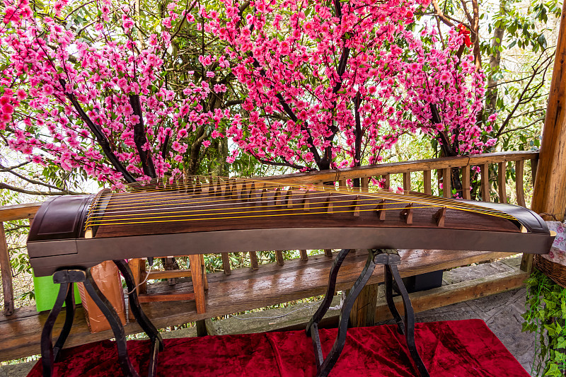 古筝乐器的背景上盛开着美丽的鲜花。它是中国古代的古典乐器图片素材