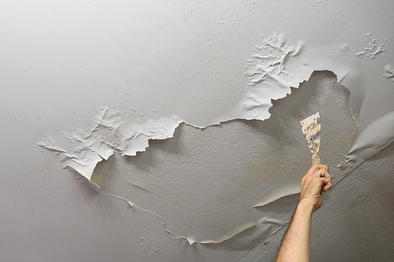 男人的手拿着一把刮刀，指着天花板，天花板上的油漆已经被湿气剥落了。在家做水管工作图片素材