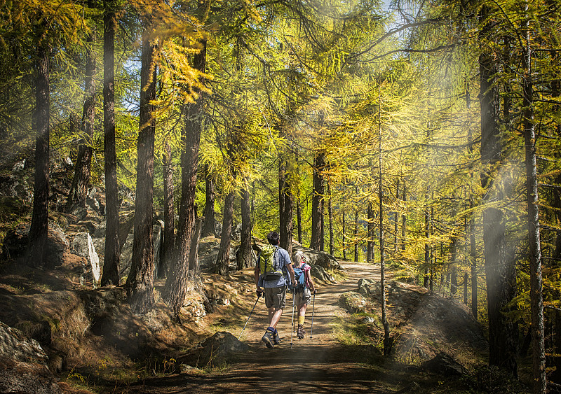 一对夫妇在森林里徒步旅行图片下载