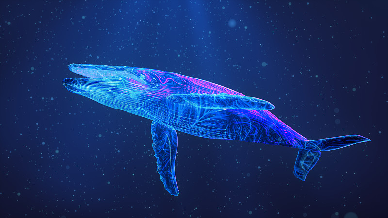 发光的蓝鲸在平静的蓝色海洋中潜水图片下载