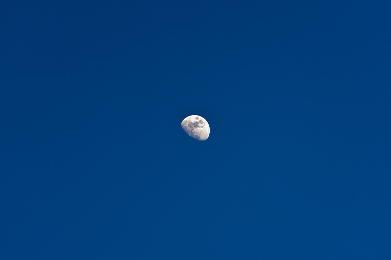 蓝天下的月亮图片