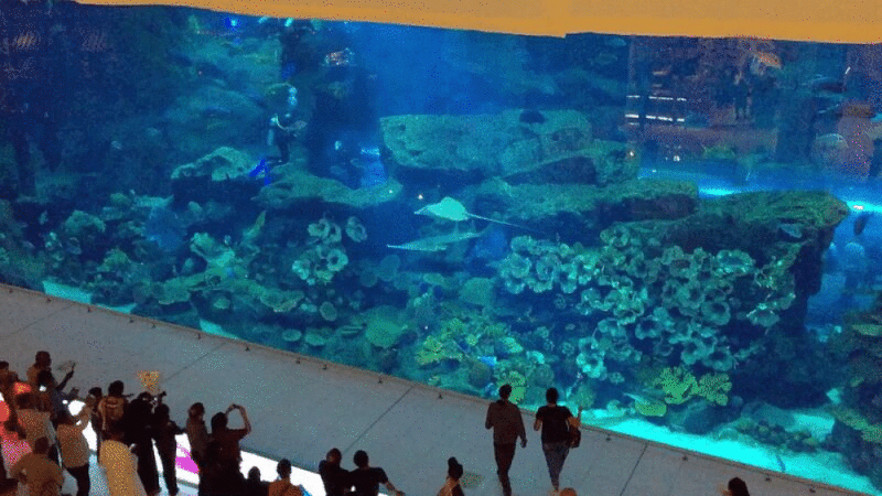 水族馆的潜水员，迪拜购物中心，迪拜，阿联酋图片下载