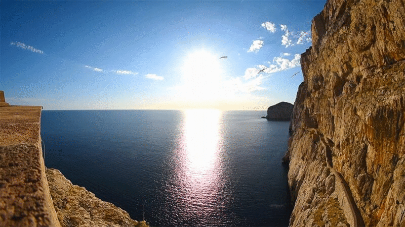 撒丁岛卡波卡西亚海崖，阳光明媚，海鸥飞翔图片下载