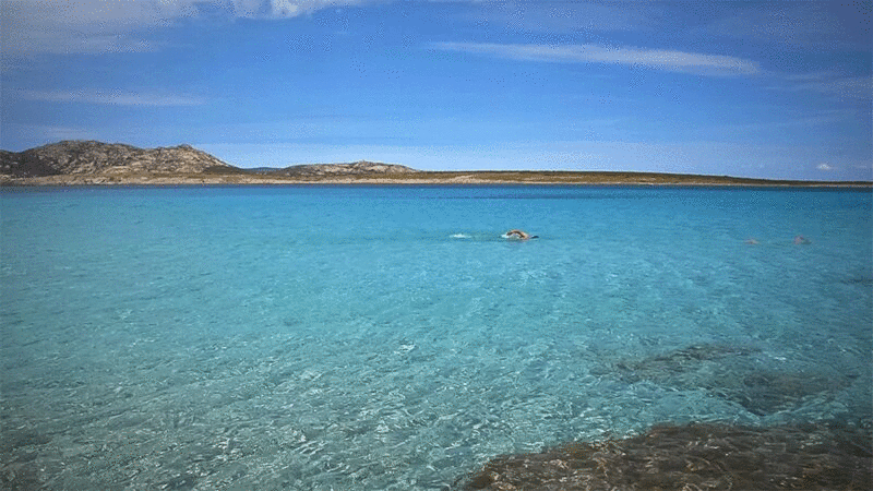 在撒丁岛斯丁蒂诺的蓝色大海里游泳的人图片下载