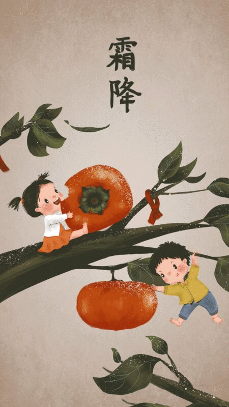 霜降两个孩子在柿子树上玩耍插画下载
