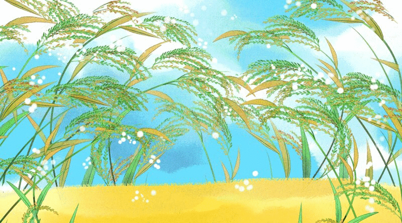 水彩风格植物稻谷插画动图图片下载