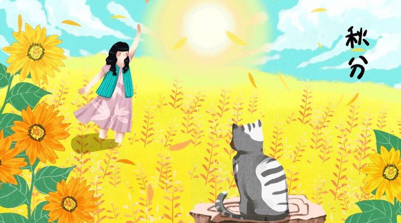 猫与女孩生活二十四节气之秋分插画动图图片下载