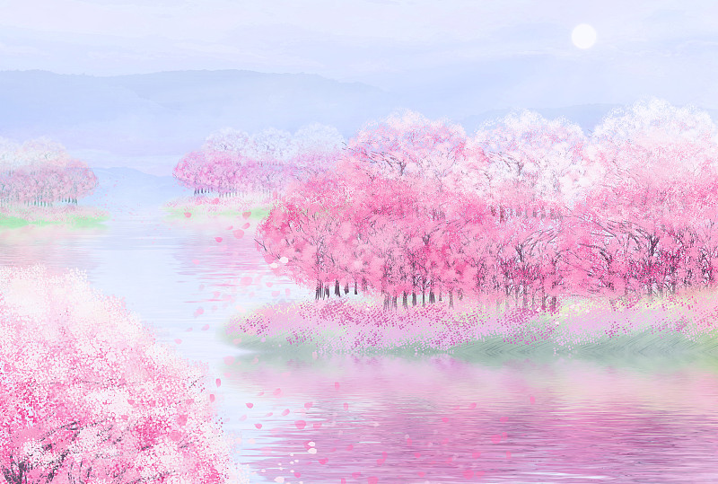 春天早晨樱花园的樱花盛开插画背景图片