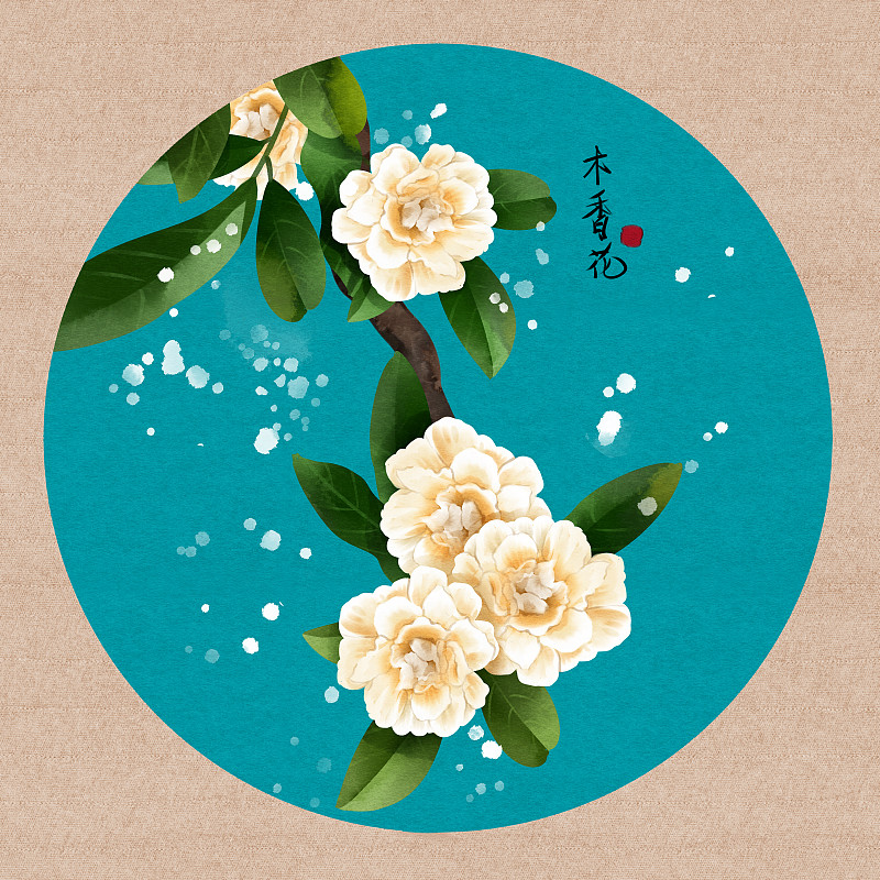 中国风水彩花卉植物木香花插画图片
