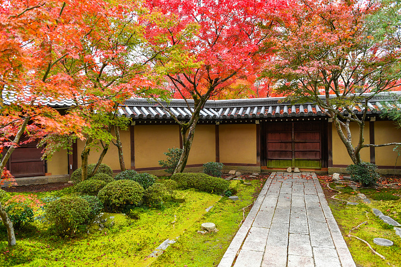 日本京都永观堂红叶季美景图片下载