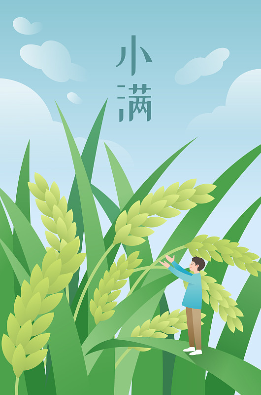 一个男生站在稻谷上伸出双手迎接小满图片素材