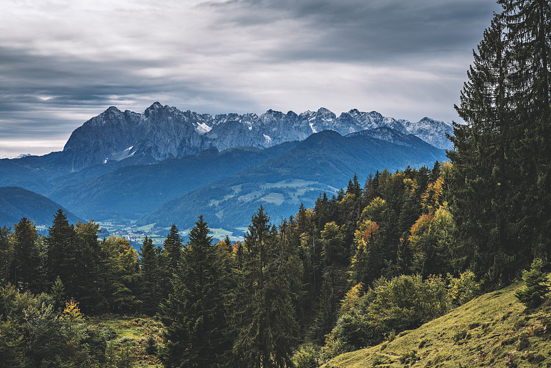 在奥地利Kssen, Kitzbuhel, Kossen, Tyrol的秋天里看到的更狂野的凯撒图片素材