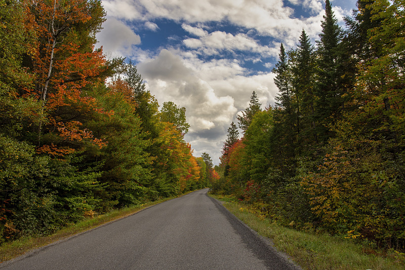 秋天的道路，富兰克林，田纳西州，美国图片素材