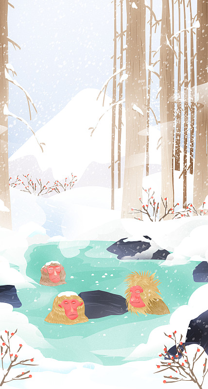 二十四节气冬至森林猴子泡温泉插画图片