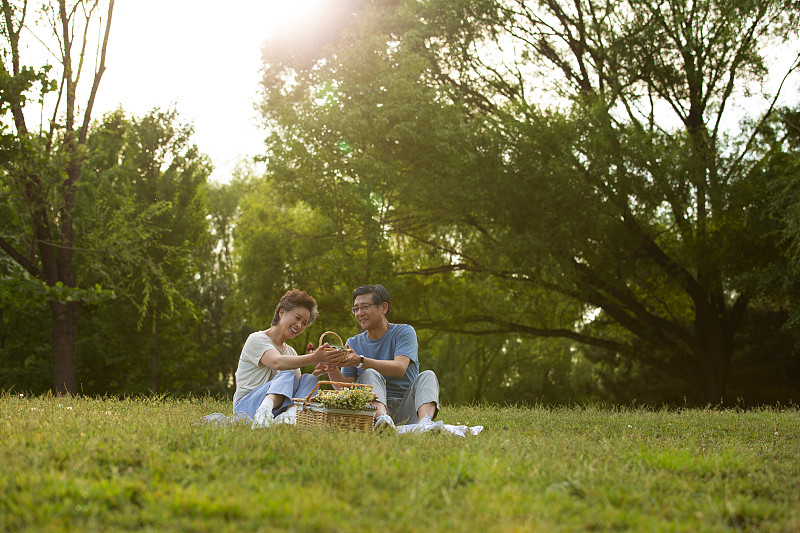 老年夫妻侣户外公园野餐图片下载