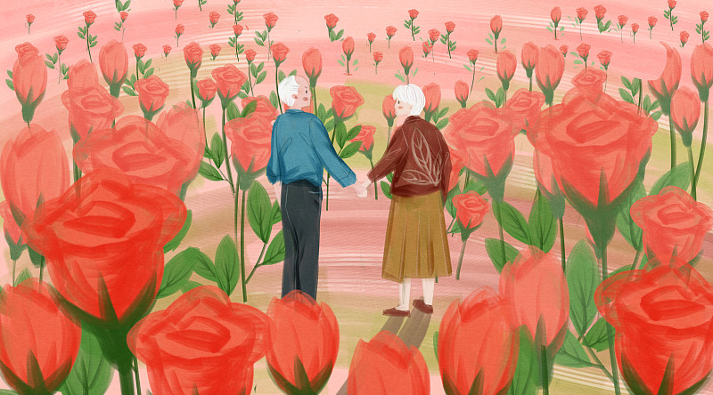 情人节玫瑰花园老年情侣牵手插画图片