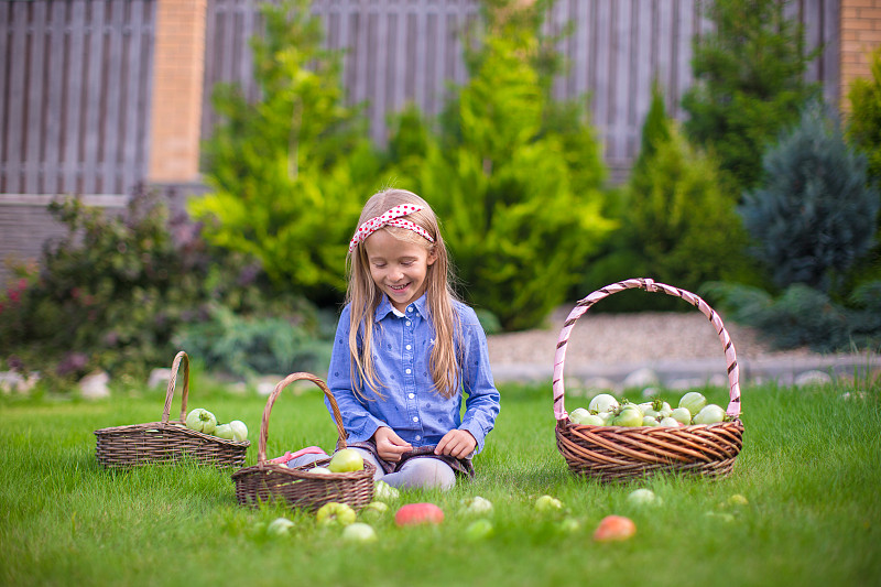 可爱的小女孩坐在草地上，篮子里装着收获的西红柿图片下载