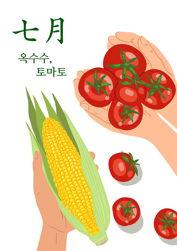 食品，季节食品，顶角，七月，番茄，玉米，人手图片素材