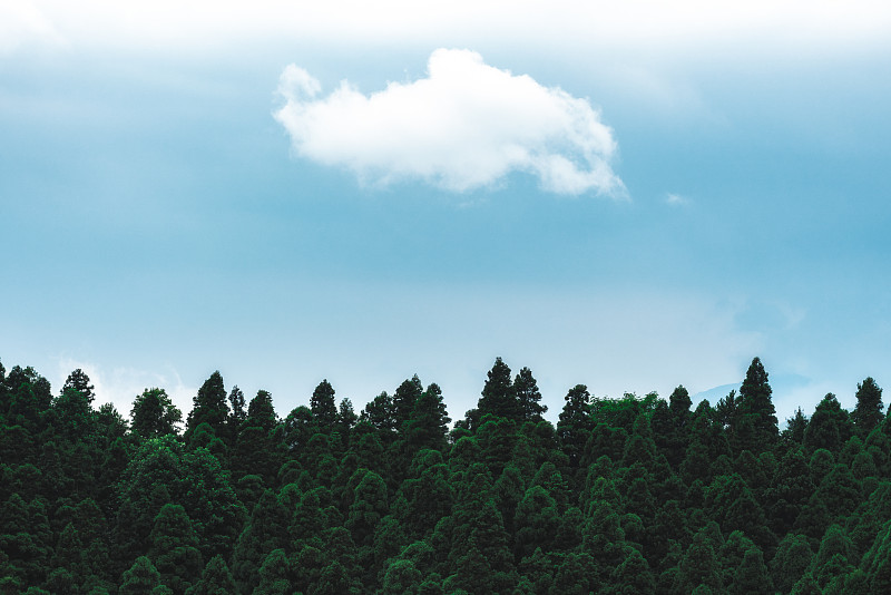 湖南南岳衡山的云层和树林图片素材