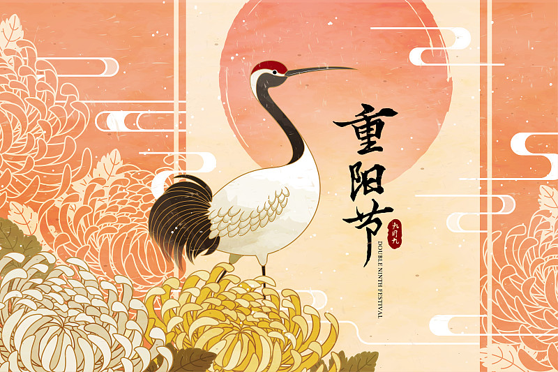 重阳节优雅丹顶鹤与菊花插图图片下载
