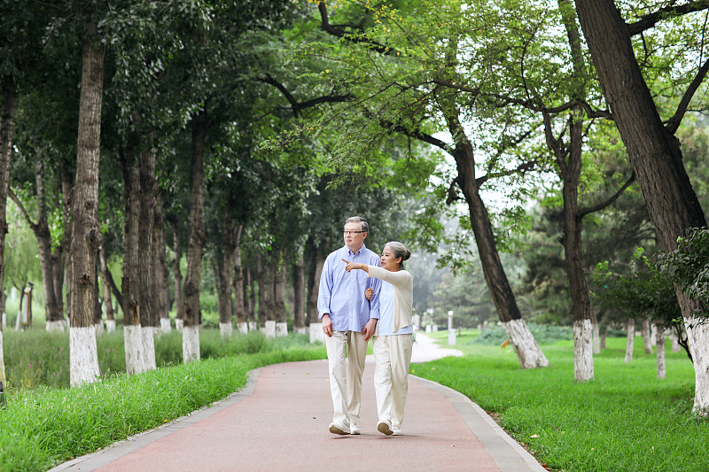 幸福的老年夫妇在公园散步图片下载