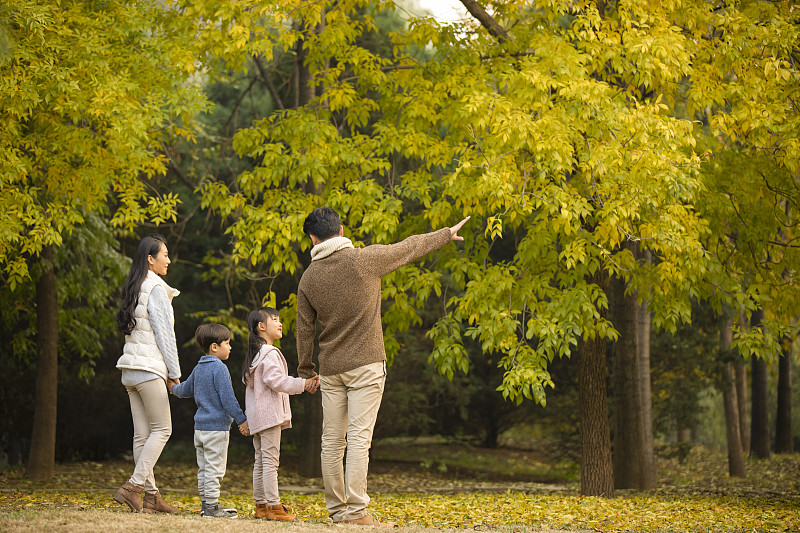 快乐的年轻家庭在树林里共享美好时光图片素材