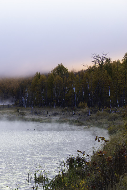 阿尔山国家森林公园乌苏浪子湖晨雾图片下载