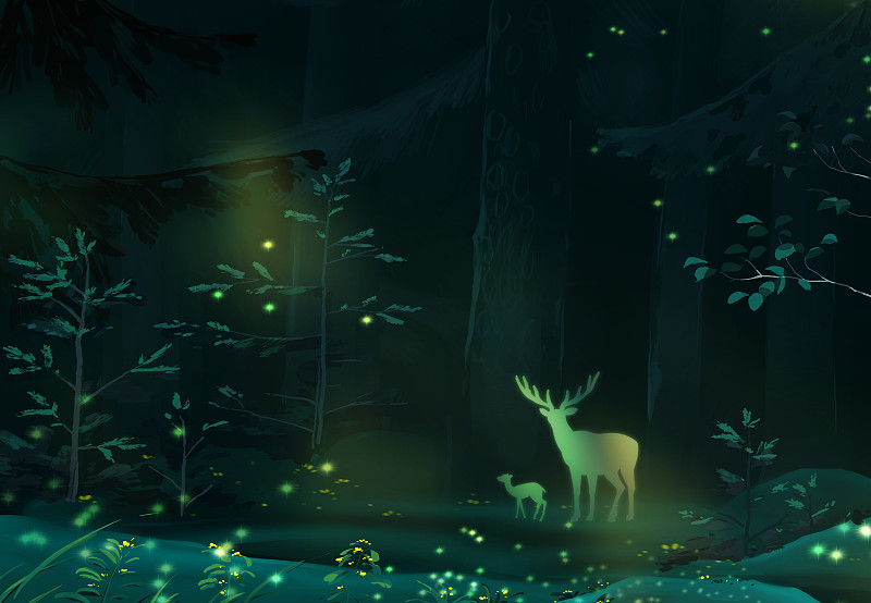 唯美童话插图夜晚森林里的精灵图片下载