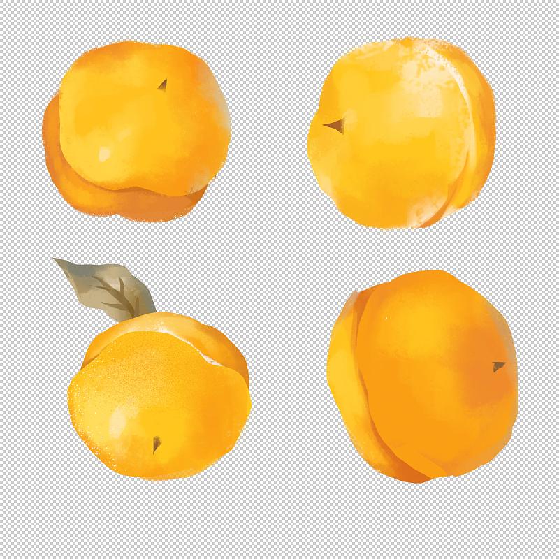 成熟的柿子图片素材