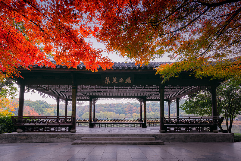 浙江杭州西湖曲院风荷红叶秋天冬天城市风光图片下载