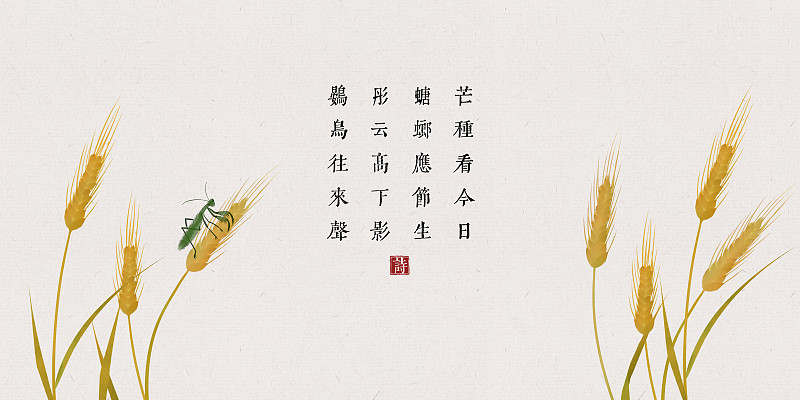 中国风古诗词插画展板芒种图片