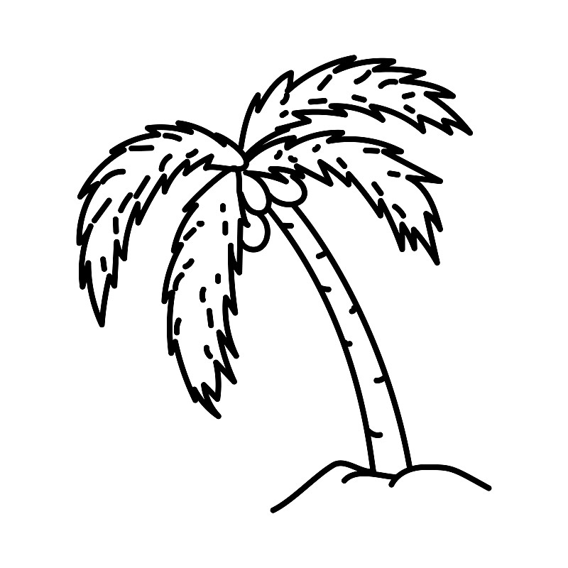 热带雨林植物 简笔画图片